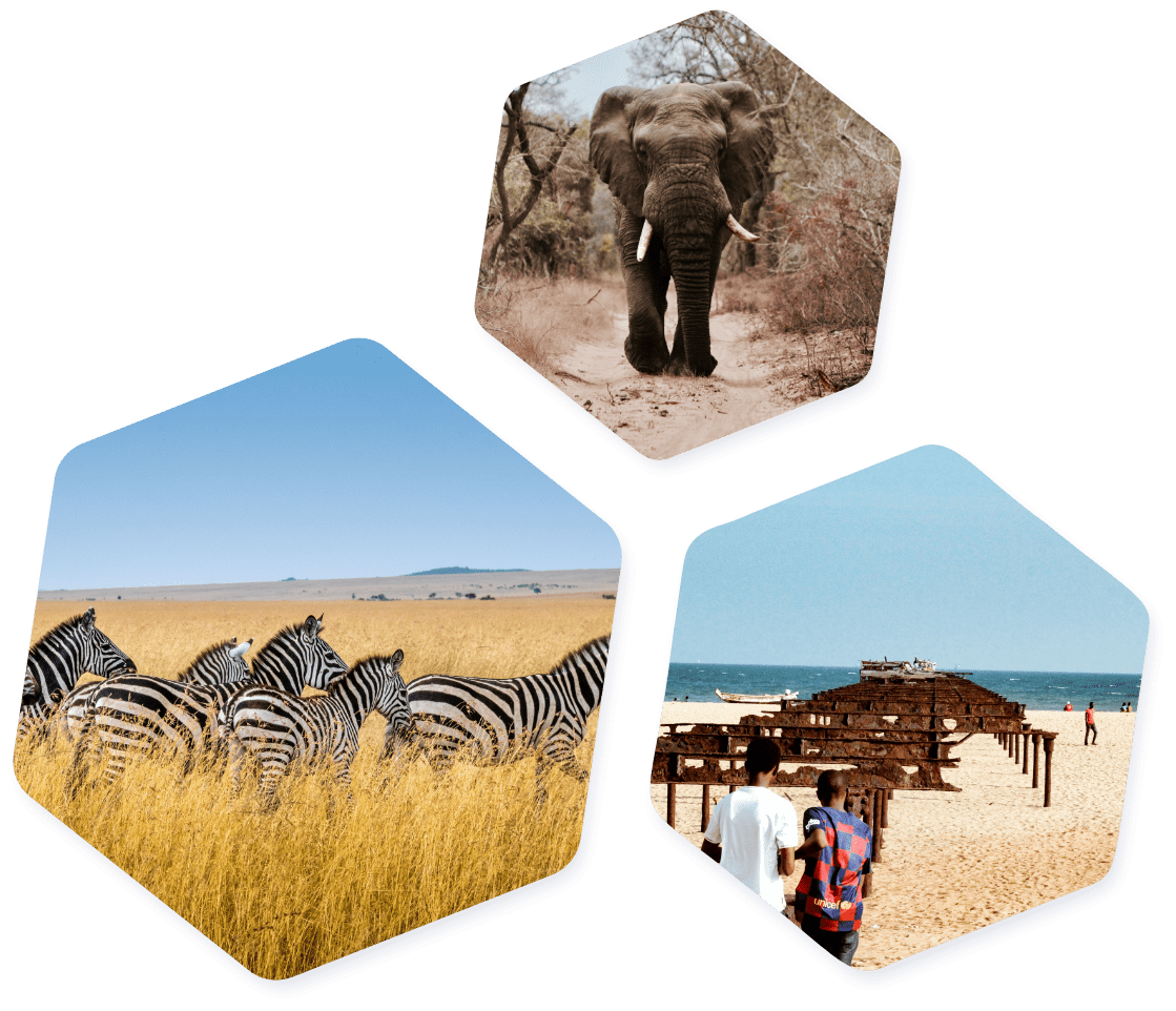 Convert CAD to XAFCanadian Dollar to Central African CFA Franc