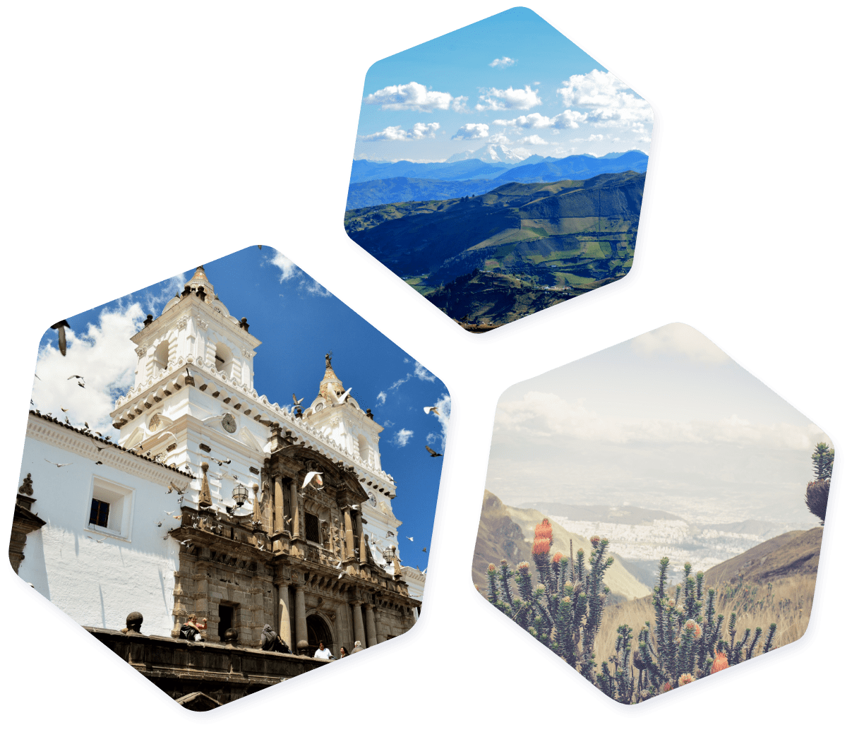 Ecuador images hexagon