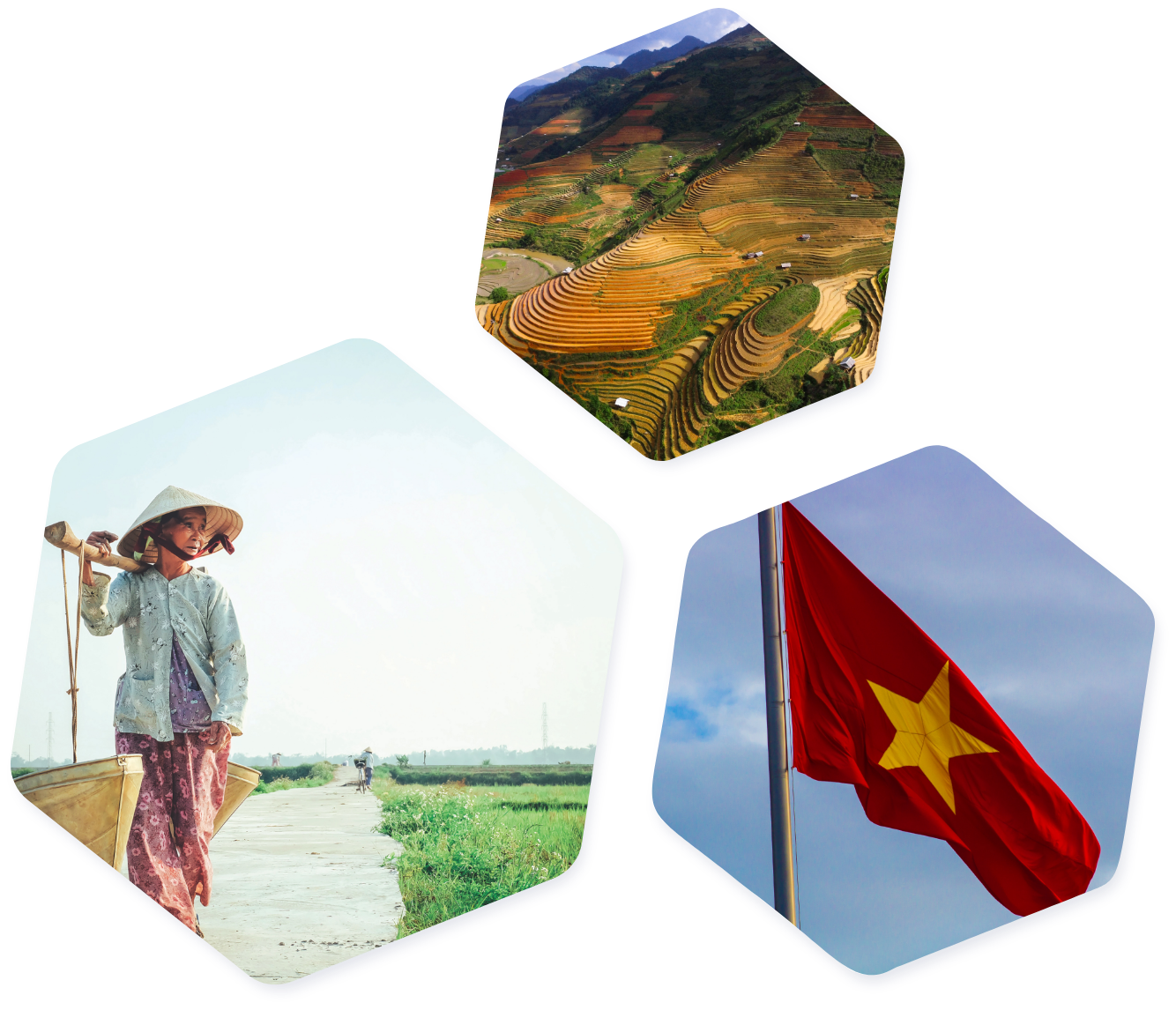 Hexagon Vietnam images