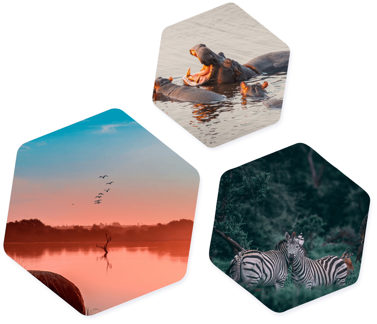 Hexagon Botswana images