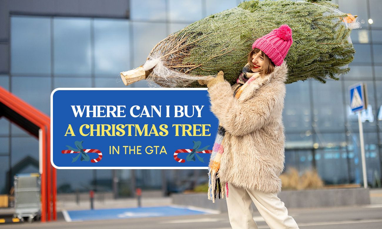 where-to-find-christmas-trees-in-the-gta-remitbee