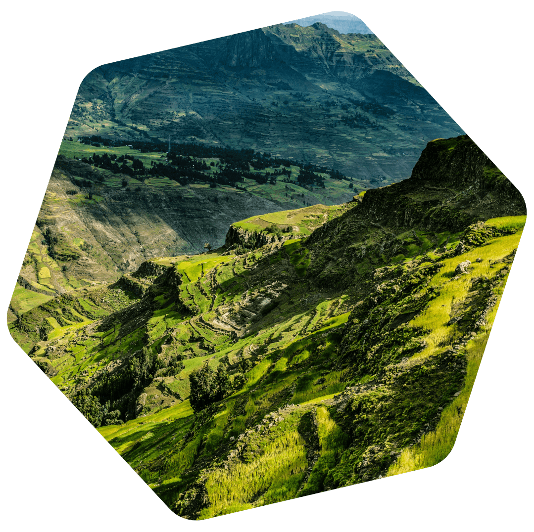 Ethiopian mountains
