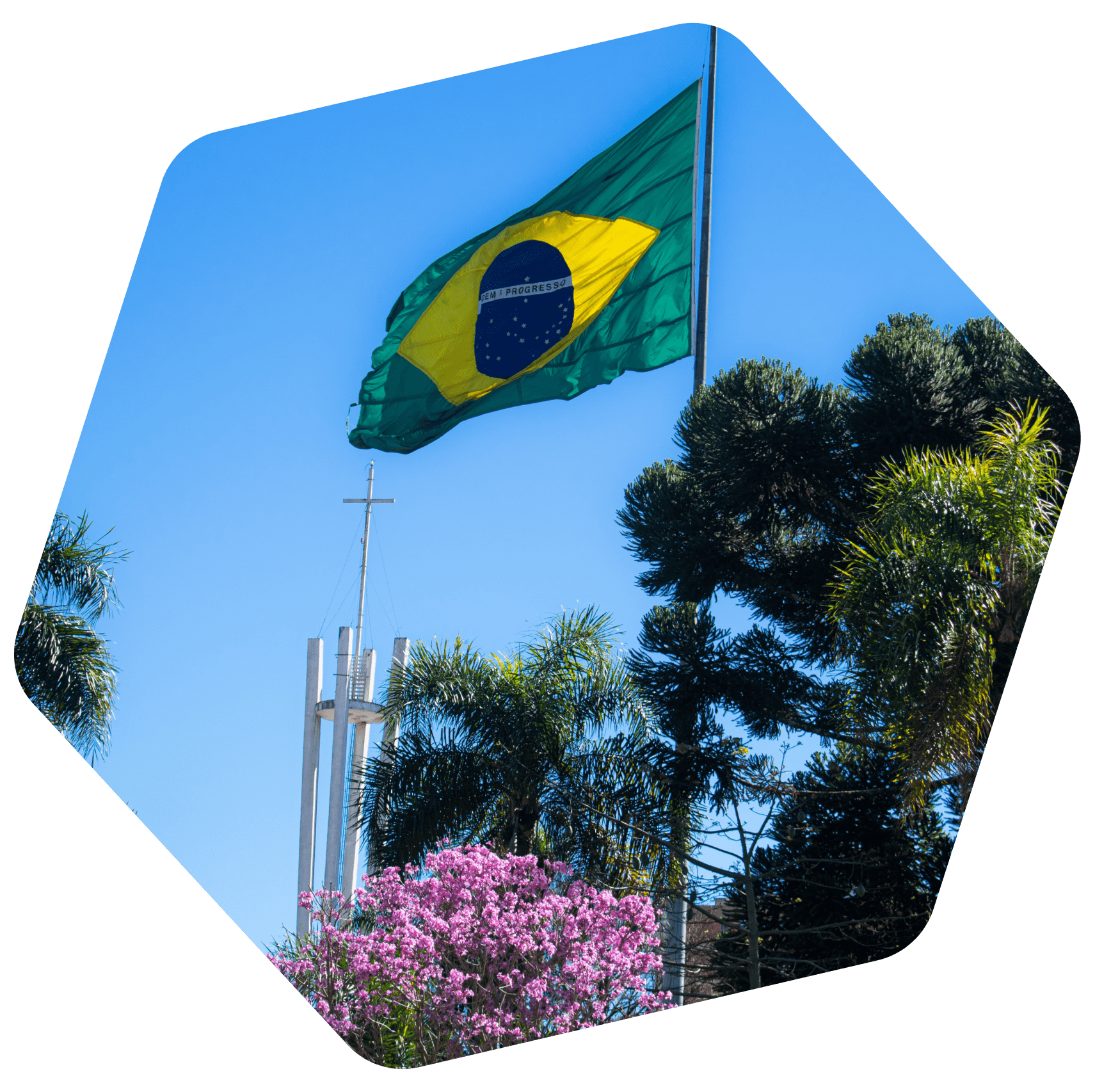 Brazilian couple with flag
